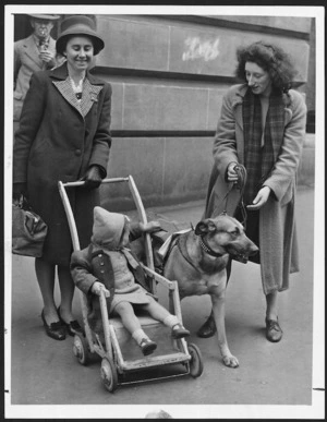 Dog used to collect money for the SPCA