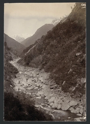 Whitcombe Valley, West Coast, New Zealand