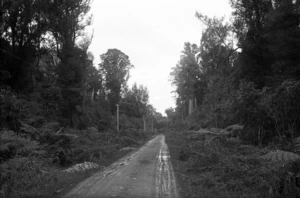 Road and Forty Mile Bush, near Pahiatua