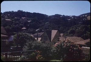 View of The Glen, Kelburn, Wellington, New Zealand