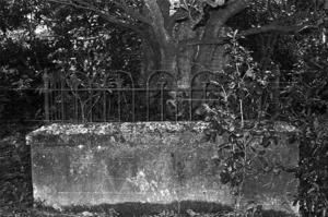 Mantell Family grave, plot 4710, Bolton Street Cemetery