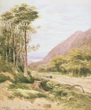 Gully, John 1819-1888 :Mountain railway over the Rimutaka Range from Wellington to Wairarapa Plain. 1882