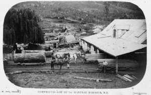 Kakamatua sawmill at Cornwallis