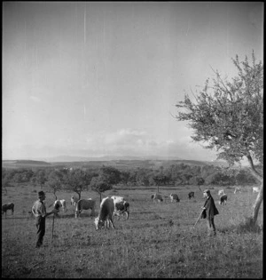 Rural scene near Lucera, Italy, where New Zealanders camped during World War II - Photograph taken by George Kaye