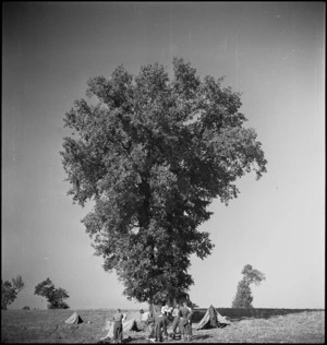 NZ bivvies at the foot of a tall tree in Italy, World War II - Photograph taken by George Kaye