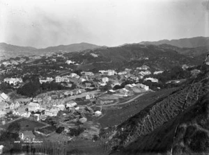 View of Thorndon, Wellington
