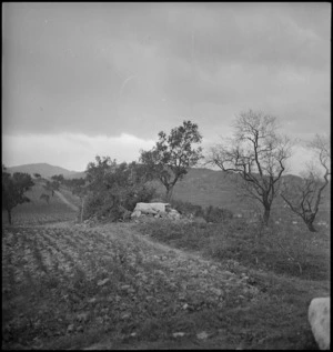 NZ Artillery observation post in the Sangro River area, Italy, World War II - Photograph taken by George Kaye