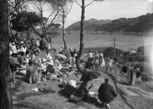 Group above Worser Bay, Wellington