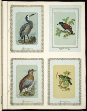 Archibald Dudingston Willis (Firm) :Ardea Novae Zealandiae / NZ heron. Saddle-back. Ocydromus earli / NI woodhen. Parrakeet. [ca 1885]