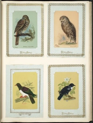 Archibald Dudingston Willis (Firm) :S.I. thrush / Turnagra Crassirostris. Sceloglaux albifacies / Laughing owl. N.Z. pigeon. Tui. [ca 1885]