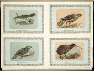 Archibald Dudingston Willis (Firm) :Grey warbler / Gerygone flaviventris. Circus Gouldi / Gould's harrier. Nestor meridionalis / Kaka. Apteryx Mantelli / N.I. kiwi. [ca 1885]