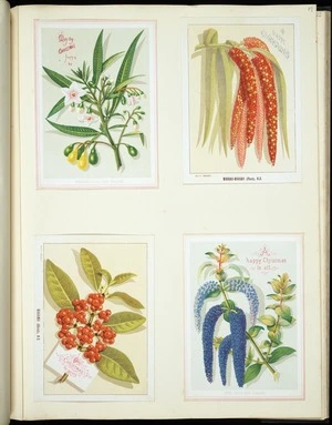 Archibald Dudingston Willis (Firm) :Poroporo (shrub), New Zealand. Whero-whero (plant), N.Z. Karamu (shrub), N.Z. Tutu (shrub), New Zealand. [ca 1885]