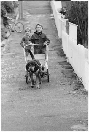 Evening Post delivery boy and dog