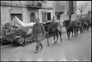 New Zealand soldiers just out of the line on Christmas morning trudge along road with pack mules, Italy, World War II - Photograph taken by George Kaye