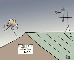 'No perching on rooftops - instant fines. HCC'. 10 July 2009