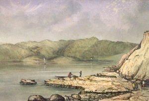 Chesney, Francis Rawdon, b 1824 :Nouveau Zealand Port de Nicolson (de Wellington) aupres de la capital [1865?]