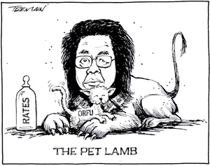 The pet lamb. 16 July 2009