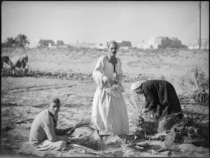 Local men cutting date palm shoots, Egypt - Photograph taken by George Kaye