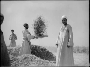 Man winnowing near Tura, Egypt - Photograph taken by George Kaye