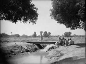Rural scene beside a canal near Tura, Egypt - Photograph taken by George Kaye