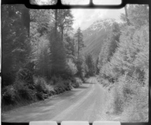 Road to Milford Sound, Eglinton Valley, Southland District