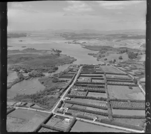 Kerikeri, Bay of Islands, includes waterway, orchards, farmland, housing, roads