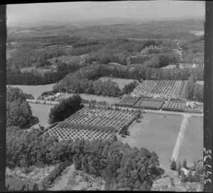 Kerikeri, Bay of Islands,includes orchards, farmland, housing, roads and bush