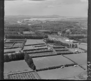 Kerikeri, Bay of Islands, includes orchards, farmland, housing, roads and bush