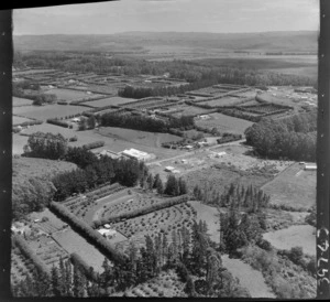 Kerikeri, Bay of Islands, includes orchards, farmland, housing, roads and bush