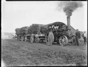 Traction engine hauling a load of flax