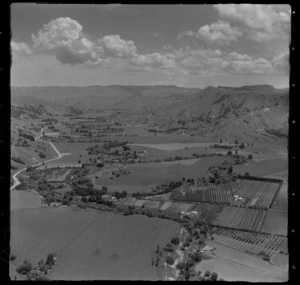 Manutuke District, Poverty Bay, showing rural area with hills in the background