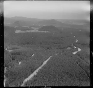 New highway through pine forest, Atiamuri, Taupo rural district