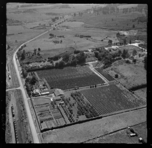 Dargaville, Northland, includes orchard, roads, housing and farmland