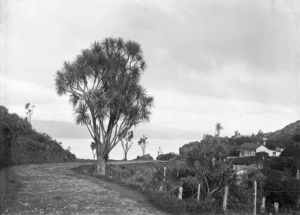 Korokoro, Hutt Valley