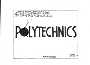 Govt. is to drastically reduce the size of Polytechnic councils. 29 July 2009