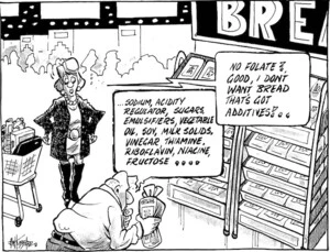 "Sodium, acidity regulator, sugars, emulsifiers, vegetable oil, soy, milk solids, vinegar, thiamine, riboflavin, niacine, fructose..." "No folate? Good, I don't want bread that's got additives!" 22 July 2009