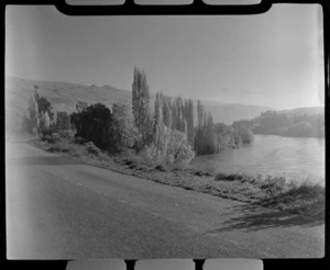The Clutha River with tree lined banks and road, Roxburgh, Otago Region