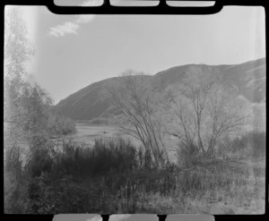 The Clutha River with tree lined banks and hills beyond, Beaumont, Otago Region