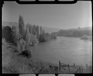 The Clutha River with tree lined banks, Roxburgh, Otago Region