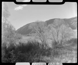 The Clutha River with tree lined banks and hills beyond, Beaumont, Otago Region