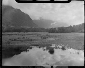 Eglinton Valley tussock and grass covered river flats with forested mountains beyond, Fiordland National Park, Southland Region