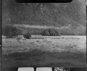 Eglinton Valley river flats and a herd of sheep amongst the tussock with forested mountains beyond, Fiordland National Park, Southland Region