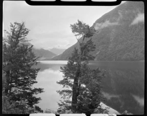 Lake Gunn viewed through trees with forest covered mountains beyond, Eglinton Valley, Fiordland National Park, Southland Region