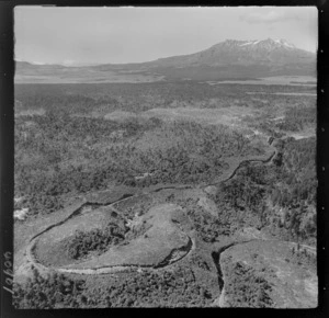 Raurimu Spiral, Manawatu, includes railway line and bush