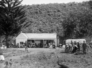 Powhiri for Governor Sir William Jervois, Lady Jervois, and party, at Omiti on Kawhia Harbour by chiefs of Ngati Hikairo, and Tetahi Rahi and Tiki Taimana