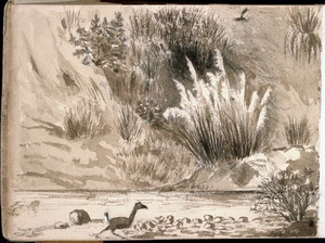 Artist unknown :[North Canterbury sketches]. Creek at Limehurst, Waikari. 1882. Toi toi, niggerheads, veronica, Te matagora, pukaki.