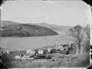 View of the end of the Port Chalmers Peninsula from Sawyers Bay