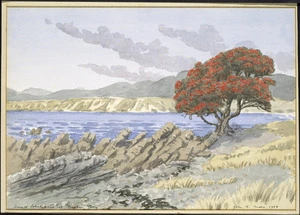Moore, John Lysaght, 1897-1965 :Small pohutukawa at Waihau Bay. 1957.