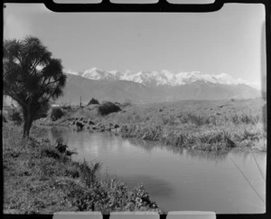 View of a coastal stream with reeds and cabbage tree, with the snow covered Seaward Kaikoura Mountain Range beyond, North Canterbury