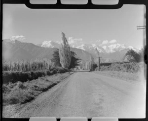 View of a Kaikoura back road with poplar trees, to the snow covered Seaward Kaikoura Mountain Range beyond, North Canterbury